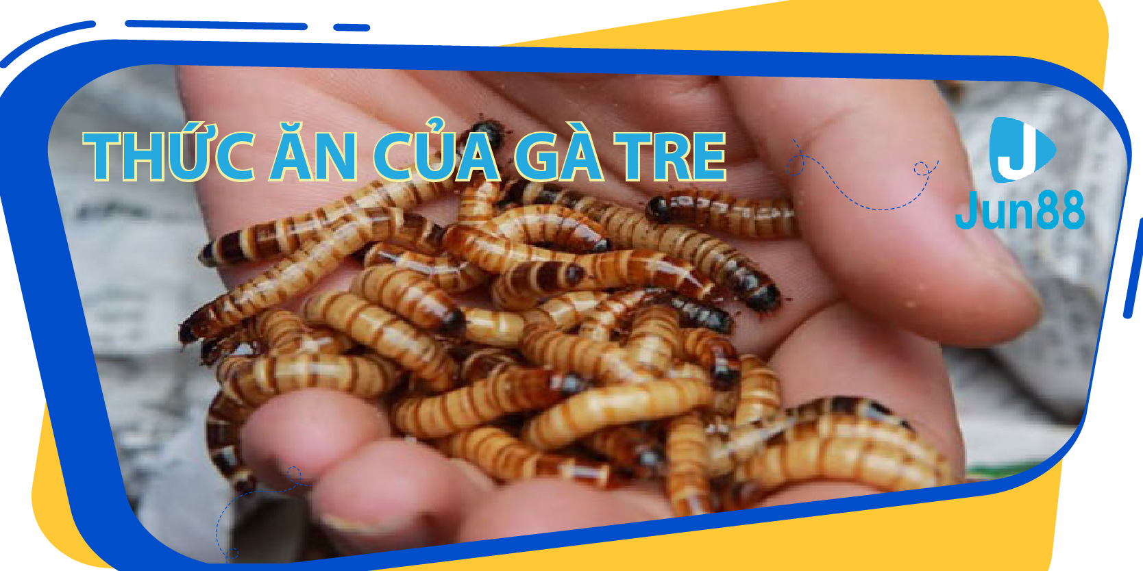 ban ca 30