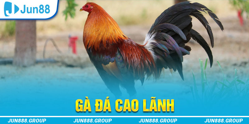 ga179 tai game vua bai ve may tinh