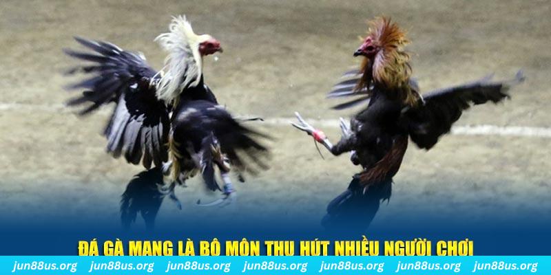 ga179 đăng nhập sòng bạc số 1