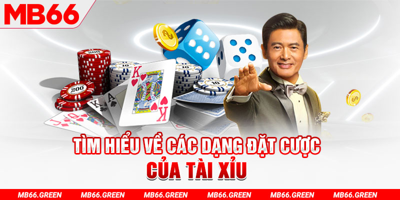 ga179 what is a casino loyalty program