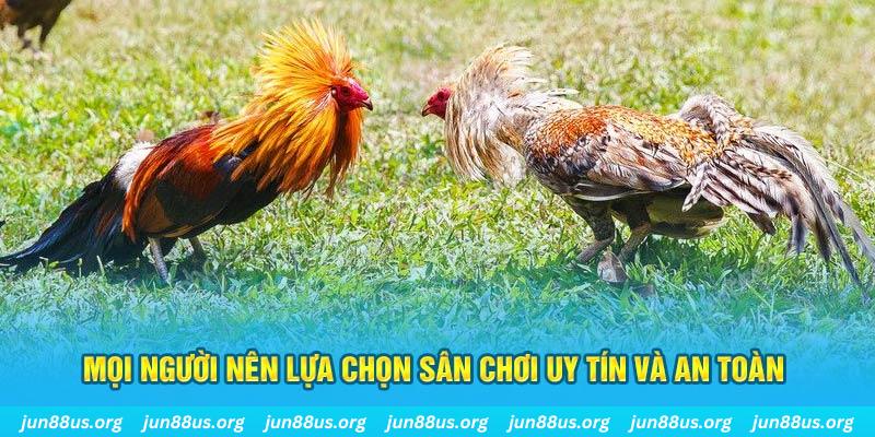 ga179 đăng nhập poker 2025