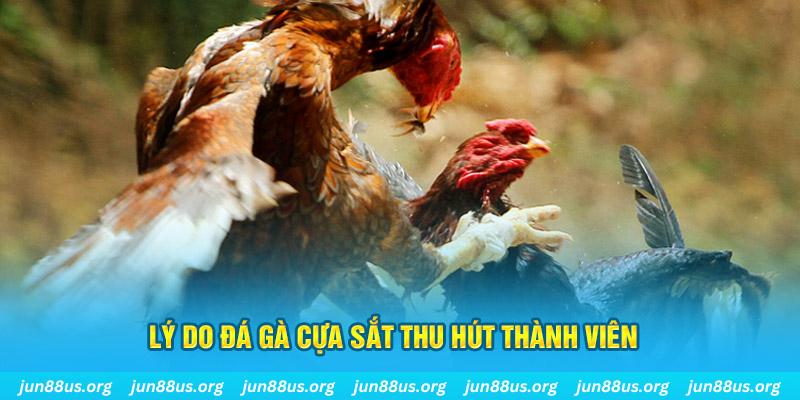 ga179 nổ hũ ăn bao nhiêu
