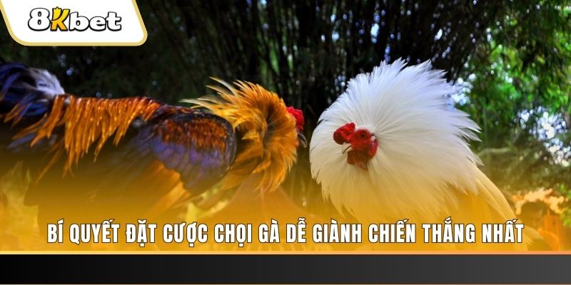 ga179 nổ hũ chơi như thế nào