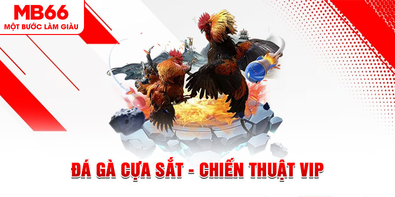 ga179 slot out là gì