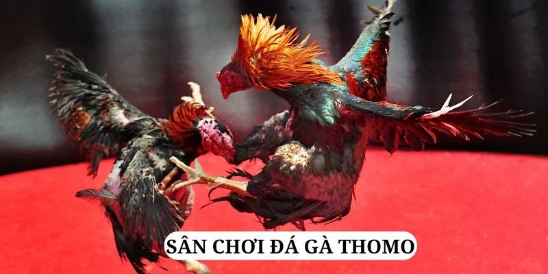 ga179 quay nổ hũ là gì